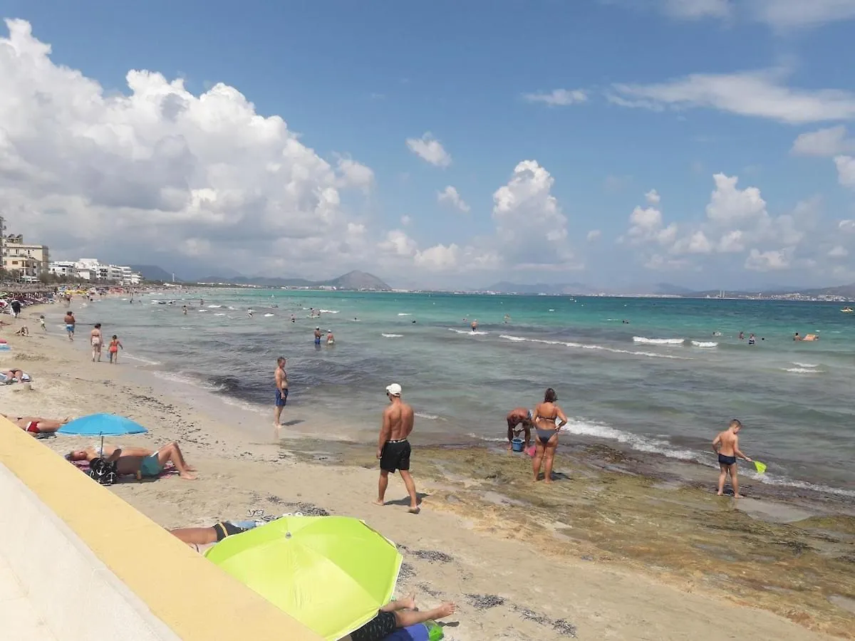 Fantastic, 100 Meters From The Beach 坎皮卡福特