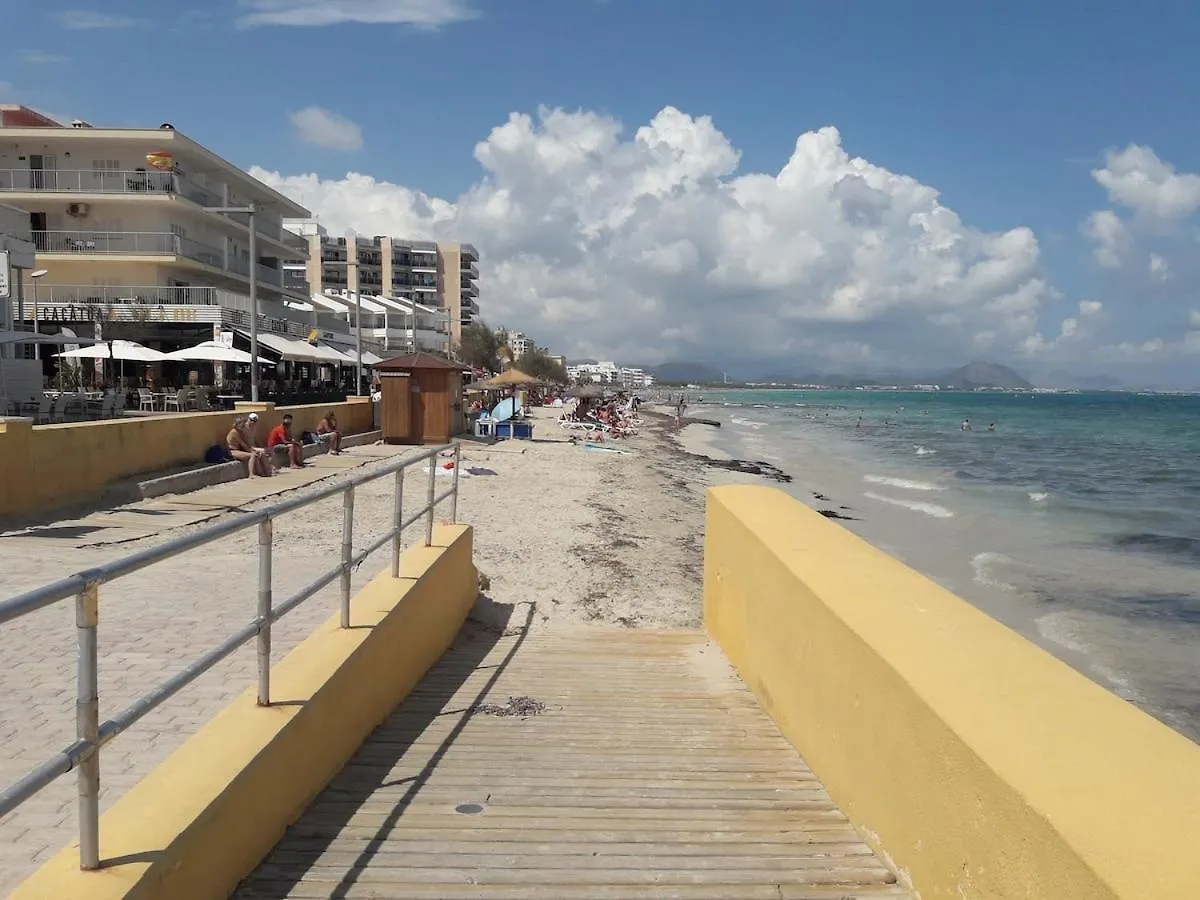 Fantastic, 100 Meters From The Beach 坎皮卡福特